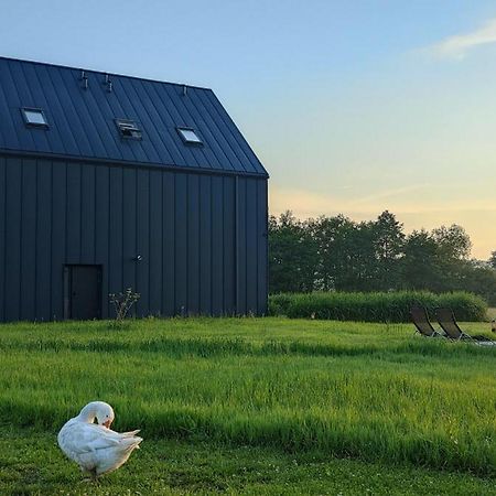 Apartamenty Boczna 3B Z Sauna I Balia Bad Kudowa Exterior foto